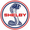 teamshelbyamerica