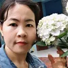 thamhongdo86