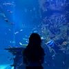 nabila_2319