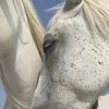 ptn_0415