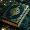 ahmedsalama8567