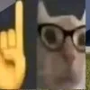 bolvanchickxd