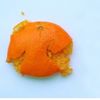 nectarinescrush