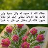 amirat.alamirat3