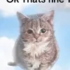 veay0_6