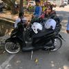 arif.std.roller