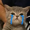 tung_chi09