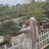 azifatilazizahh