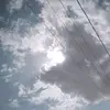 qx_vi0