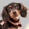 princesspeachdoxie