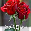 user5232526252650
