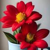 abeer.basem