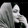 qamar4661