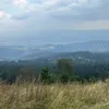 djeiqoub1