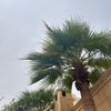 .eneq