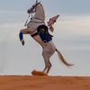 abu_lafi3