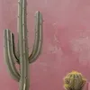 yel_dora____123
