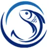 khobiencamau