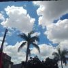 alzz_mania_bintara