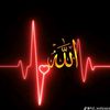 ahmadjahangir35