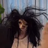 ellianza2