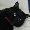 yoga.e.h