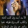 user2828734037362