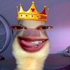 rhiiss