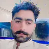shahzadchohan6884