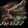 naser.t67