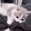︎︎^_ｰ