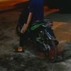 green_1559