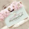 nahed.kheir12