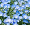 wallflower849