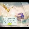 aliomar.alshamari