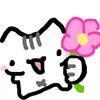 may_a_pitaya_segunda_