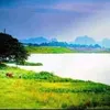 phc.nguyn4409