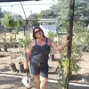 mariadapenhateixe7