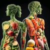www.weightloss