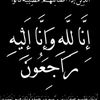 yasmeenyasmeen3928