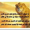 user1382684728421