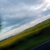 xfayex46294