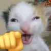 mizkizo