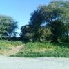 user6159922061333