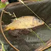 epfishing2