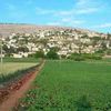 alhmereabohbdo6