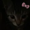 margoshka781