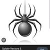 spider.199