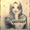 amirqamar01