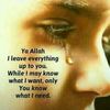 user120358019141